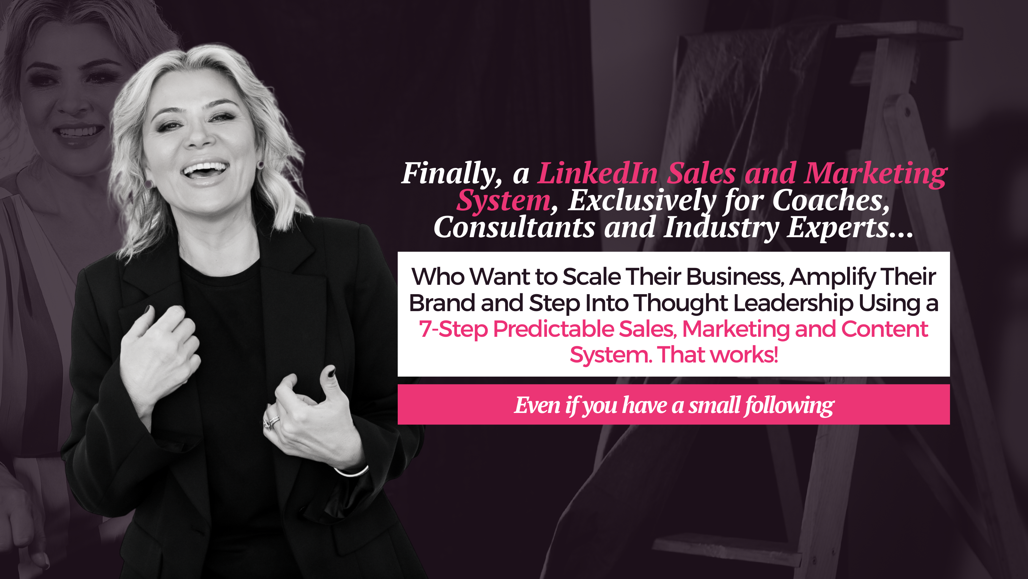 LinkedIn Lead Gen Simplified Sales System - Mary Henderson | Personal Brand Strategist Mary Henderson Homepage
